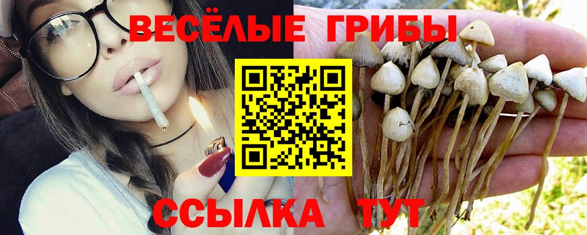 Псилоцибиновые грибы прущие грибы Нефтеюганск
